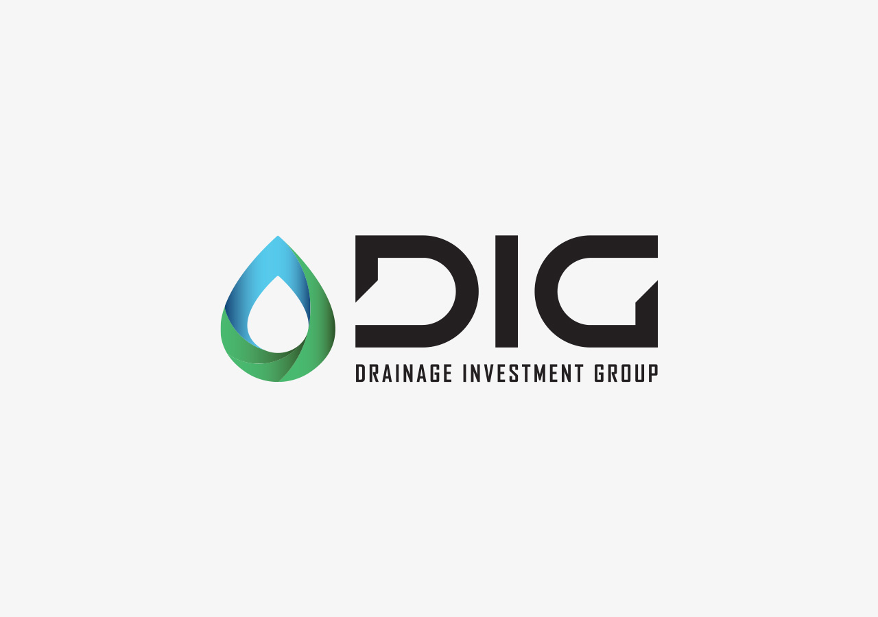 DIG Logo